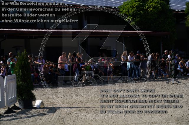 a_K3F04036.JPG